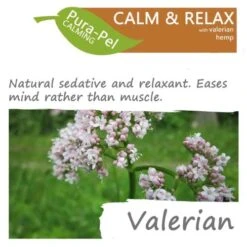 Green Pantry Pura Pel Calming Herbal Cat & Dog Supplement 8 Green Pantry Pura Pel Calming Herbal Cat & Dog Supplement -Pet Supply Store Pura Pel Calming Valerian 1 wm7lds