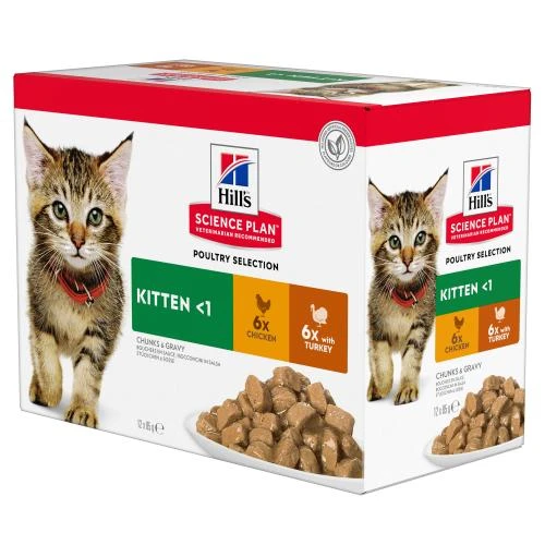 Hills Science Plan Wet Kitten Food Pouches 4 Hills Science Plan Wet Kitten Food Pouches - Image 2