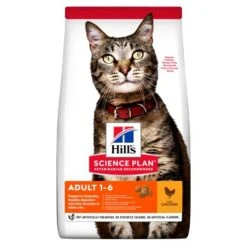Hills Science Plan Adult Chicken Dry Cat Food
