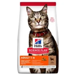 Hills Science Plan Lamb Dry Adult Cat Food