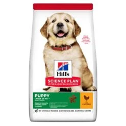 Hills Science Plan Large Breed Puppy Chicken Dry Dog Food 13 Hills Science Plan Large Breed Puppy Chicken Dry Dog Food -Pet Supply Store SP 604304 Packshot wgjpv9
