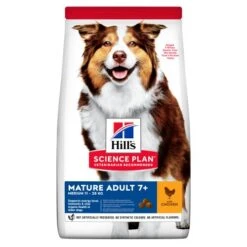Hills Science Plan Medium Breed Mature 7+ Chicken Dry Dog Food -Pet Supply Store SP 604378 Packshot oudk6b