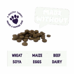 Burgess Sensitive Salmon & Rice Adult Dry Dog Food -Pet Supply Store Salmon Made Without 07 460x460 vd4wfv