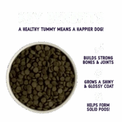 Burgess Sensitive Salmon & Rice Adult Dry Dog Food -Pet Supply Store Salmon Product Benefits 08 460x460 uzt5gi