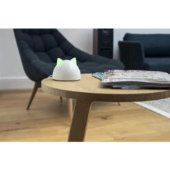 Sure Petcare Connecting Hub -Pet Supply Store SureFlap Microchip Pet Door Connect Hub In Home 1 suzyjm