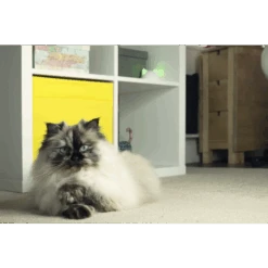 Sure Petcare Connecting Hub -Pet Supply Store SureFlap Pet Door Connect Hub With Lucie 4 qkw2qe