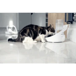 Sure Petcare Felaqua Connect Cat Drinking System -Pet Supply Store Sure Petcare Felaqua Connect Paddock 2 jwnbow