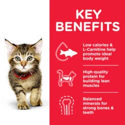 Hills Science Plan Tuna Dry Kitten Food -Pet Supply Store Thumbnail 2 604053 Key Benefits fq9x7o