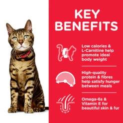 Hills Science Plan Adult Light Chicken Dry Cat Food -Pet Supply Store Thumbnail 2 604082 Key Benefits paul0a