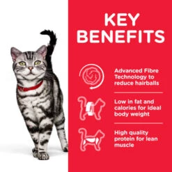 Hills Science Plan Adult Hairball & Indoor Dry Cat Food Chicken -Pet Supply Store Thumbnail 2 604184 Key benefits f0ib1d