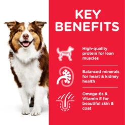 Hills Science Plan Mature Adult Wet Dog Food Chicken Cans -Pet Supply Store Thumbnail 2 604225 Key Benefits lu3tnu