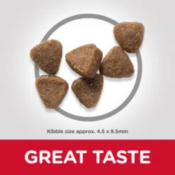 Hills Science Plan Chicken Dry Kitten Food -Pet Supply Store Thumbnail 4 604048 Kibbles rdca74