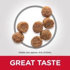 Hills Science Plan Small And Miniature Puppy Chicken & Turkey Dry Dog Food -Pet Supply Store Thumbnail 4 604230 Kibbles hbleci