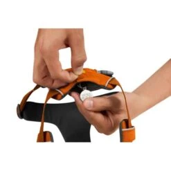 Ruffwear Front Range Dog Harness In Campfire Orange -Pet Supply Store Web 30502 Front Range Harness Campfire Orange ID Tag uqijta