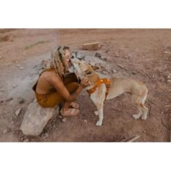 Ruffwear Front Range Dog Harness In Campfire Orange -Pet Supply Store Web 30502 Front Range Harness Campfire Orange Moab Utah 01 uhgn4d