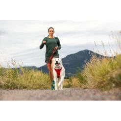 Ruffwear Front Range Dog Harness In Red Sumac -Pet Supply Store Web 30502 Front Range Harness Red Sumac Flatirons Colorado 04 aevdf6