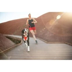 Ruffwear Front Range Dog Harness In Red Sumac -Pet Supply Store Web 30502 Front Range Harness Red Sumac Painted Hills 01 kubthk