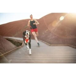 Ruffwear Front Range Dog Leash In Sumac Red 15 Ruffwear Front Range Dog Leash In Sumac Red -Pet Supply Store Web 30502 Front Range Harness Red Sumac Painted Hills 01 vzdgbf