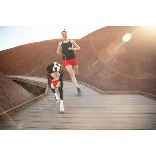 Ruffwear Front Range Dog Leash In Sumac Red 9 Ruffwear Front Range Dog Leash In Sumac Red - Image 7