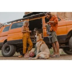 Ruffwear Front Range Dog Leash In Campfire Orange -Pet Supply Store Web RuffwearMadiaFinals 4 of 6 oj56cv