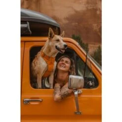 Ruffwear Front Range Dog Leash In Campfire Orange -Pet Supply Store Web RuffwearMadiaFinals 5 of 6 dvtcsm