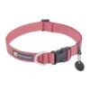Ruffwear Hi & Light Collar In Salmon Pink -Pet Supply Store Web JPG 2555 Hi And Light Collar Salmon Pink STUDIO lliog6