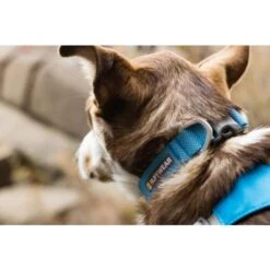 Ruffwear Hi & Light Collar In Blue Dusk -Pet Supply Store Web JPG 2555 Hi and Light Collar Blue Mist PhotoTylerRoemer Print 1 toi8de