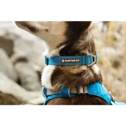 Ruffwear Hi & Light Collar In Blue Dusk -Pet Supply Store Web JPG 2555 Hi and Light Collar Blue Mist PhotoTylerRoemer Print 3 amn46h