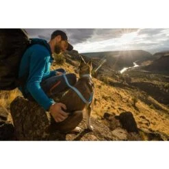 Ruffwear Flagline Dog Leash In Salmon Pink -Pet Supply Store Web JPG 2555 Hi and Light Collar Blue Mist PhotoTylerRoemer Print 3 rznpjg