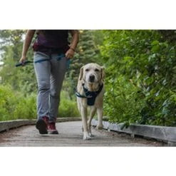 Ruffwear Front Range Dog Harness In Blue Moon -Pet Supply Store Web JPG 30502 Front Range Harness Trillium Lake Print 16 thd2od