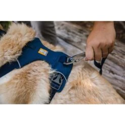Ruffwear Front Range Dog Harness In Blue Moon -Pet Supply Store Web JPG 30502 Front Range Harness Trillium Lake Print 25 sr1ld0