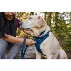Ruffwear Front Range Dog Harness In Blue Moon -Pet Supply Store Web JPG 30502 Front Range Harness Trillium Lake Print 26 1 qgx9ww