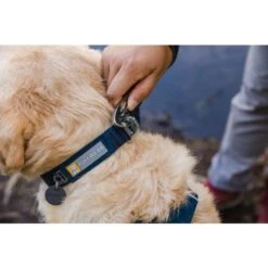 Ruffwear Front Range Dog Leash In Blue Moon -Pet Supply Store Web JPG 30502 Front Range Harness Trillium Lake Print 29 crxpvg
