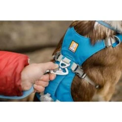 Ruffwear Flagline Dog Harness In Blue Dusk -Pet Supply Store Web JPG 30551 Flagline Harness Blue Mist TroutCreek MaxTepfer Billy PhotoTylerRoemer Print 62 mvftwn