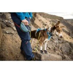 Ruffwear Flagline Dog Harness In Blue Dusk -Pet Supply Store Web JPG 30551 Flagline Harness Blue Mist TroutCreek MaxTepfer Billy PhotoTylerRoemer Print 78 txwnhe