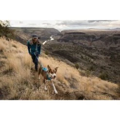 Ruffwear Flagline Dog Harness In Blue Dusk -Pet Supply Store Web JPG 30551 Flagline Harness Blue Mist TroutCreek MaxTepfer Billy PhotoTylerRoemer Print 97 jtsvwz