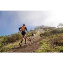 Ruffwear Hi & Light Dog Harness In Blue Dusk -Pet Supply Store Web JPG 30821 Hi And Light Harness Dezmond Riley PhotosLReneeBlount 1 p2b4rn