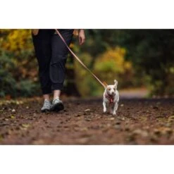 Ruffwear Hi & Light Collar In Salmon Pink 12 Ruffwear Hi & Light Collar In Salmon Pink -Pet Supply Store Web JPG 30821 Hi And Light Harness Lauren Wanda PhotosMitchPittman Print 51 mut82x