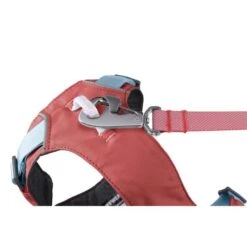 Ruffwear Hi & Light Dog Harness Salmon Pink -Pet Supply Store Web JPG 30821 Hi And Light Harness Salmon Pink Mist Leash STUDIO wmxutu