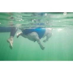 Ruffwear Float Coat Dog Life Jacket In Blue Dusk -Pet Supply Store Web JPG 45103 Float Coat Blue Dusk Lac de Montriond France Charlotte Strachan Cooper PhotoDomGranger Print 20 1 xhjr5z