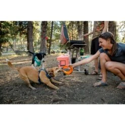 Ruffwear Front Range Dog Harness In Blue Moon -Pet Supply Store Web JPG Front Range Monica Ethan Giles Alta Print 72 l8revg