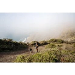 Ruffwear Hi & Light Dog Harness In Blue Dusk -Pet Supply Store Web JPG LBlount Nov 2021 Ruffwear 2189 ilaxoq