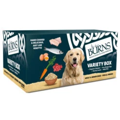 Burns Variety Box Wet Adult & Senior Dog Food