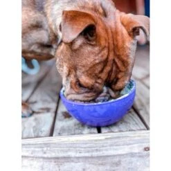 LickiMat Wobble Slow Feeder For Dogs & Cats -Pet Supply Store Wobble Purple nevthebulldog 3 a2bbjm