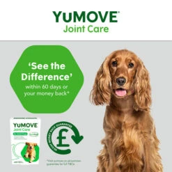 YuMOVE Joint Care For Adult Dogs -Pet Supply Store YuMOVE Joint Care Adult 60 5 k3yhjl
