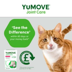 YuMOVE Joint Care For Cats -Pet Supply Store YuMOVE Joint Care Cat 5 mnvbn8