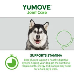 YuMOVE Joint Care For Working Dogs -Pet Supply Store YuMOVE Joint Care Working 9 ybazxc