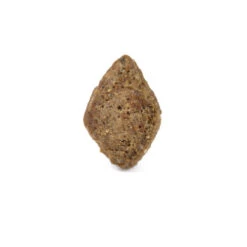 Arden Grange Salmon & Rice Adult Dog Food 9 Arden Grange Salmon & Rice Adult Dog Food -Pet Supply Store adult salmon rice qcnguc