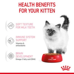 Royal Canin Kitten In Gravy Wet Cat Food Pouches -Pet Supply Store ahtuxeihpartty3ql2rj kaeber