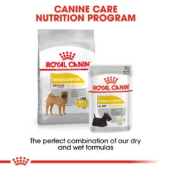 Royal Canin Medium Dermacomfort Adult Dry Dog Food -Pet Supply Store autlkyvkhighnljn3on2 evcmva